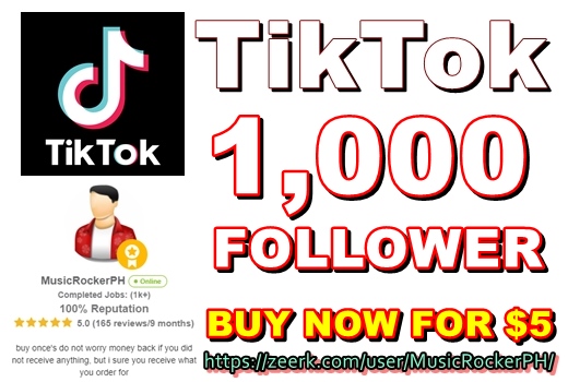 TikTok 1000 Follower To Your Account