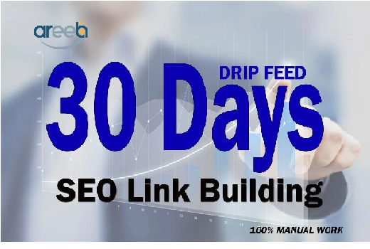 I will rank your website on google top, SEO backlinks 30 days drip-feed