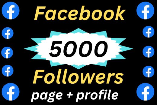 Permanent 5000 Facebook followers [page+profile] unique service