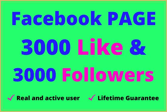 3000+ organic Facebook page likes /followers Permanent Life Time