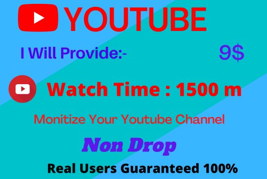 I can give you 1500+ youtube watch Time