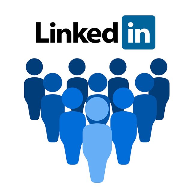 500 Linkedin Profile Follower High Quality USA