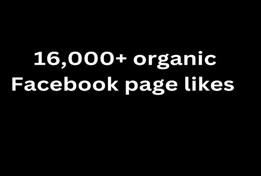 Get 15,000+ organic Facebook page likes /followers Permanent Life Time