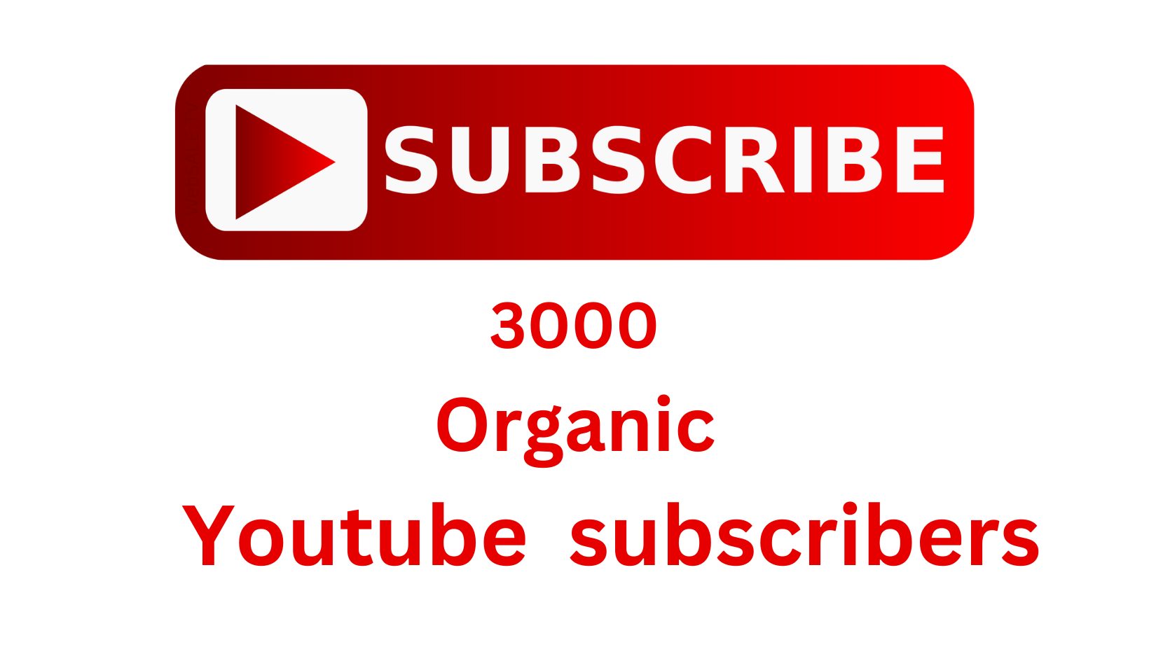 3000 non drop Youtube subscribers