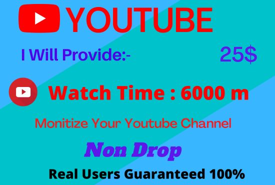 I can give you 6000 youtube Watch Time