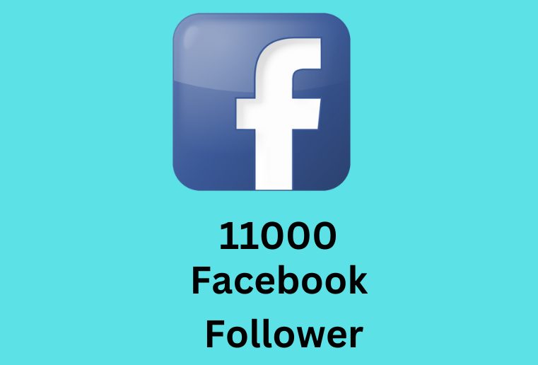 I will provide you 11000 real and Facebook follower