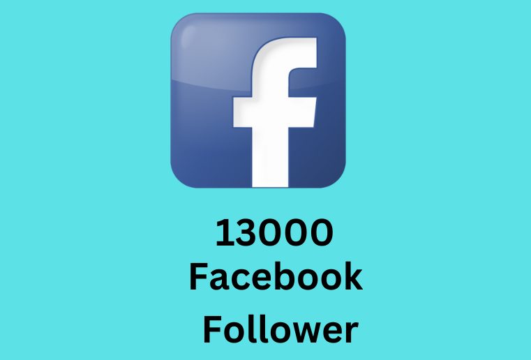 I will provide you 13000 real and organic Facebook Follower