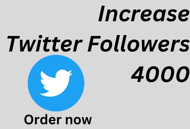 I will provide you 4000  real and organic Twitter Follower