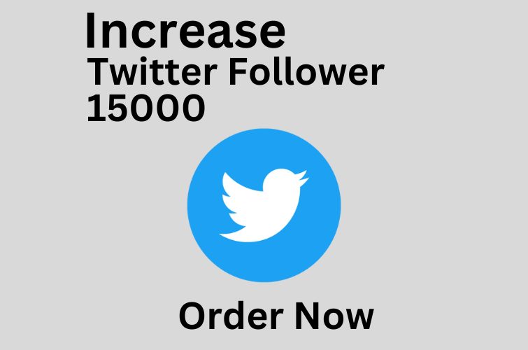 I will provide you 100% Real And Organic Twitter Follower