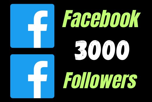 Real 3000 Facebook follower permanent best service nondrop lifetime guaranteed