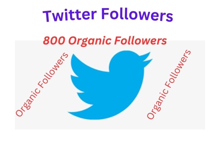 I will Give Your 800  Twitter Organic Followers