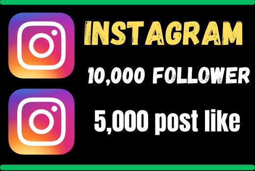 Permanent 10,000 Instagram follower & 5,000 Instagram post like nondrop good service