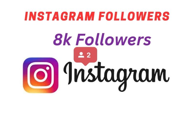 I will add 8k organic Instagram followers for your business