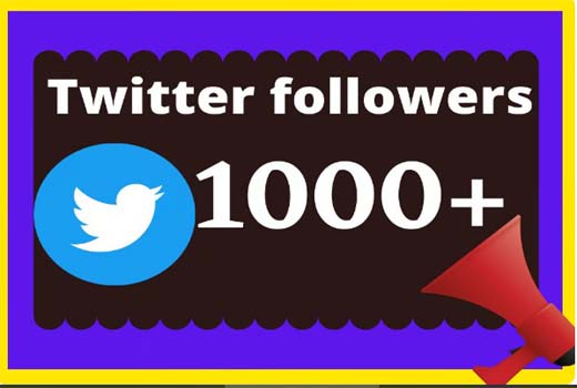 You will get 1000+ Twitter Followers and twitter Marketing