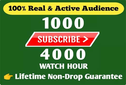 You will get Organic 1000+ YouTube Subscribe, 4k Watch time