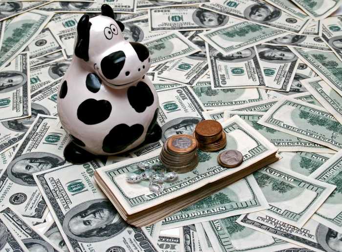 create automated cash cow, cash cow youtube ,cash cow channel, cash cow