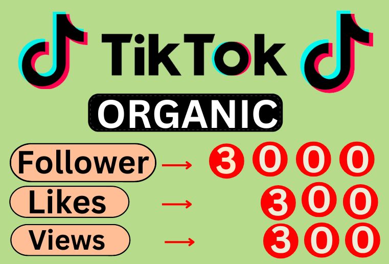 I will Get super fast organic 3000 TikTok Real followers, 300 likes, 300 Views