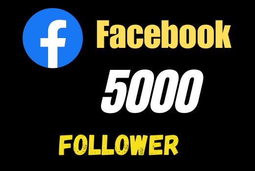 Permanent 5000 Facebook followers,any page, any profile nondrop