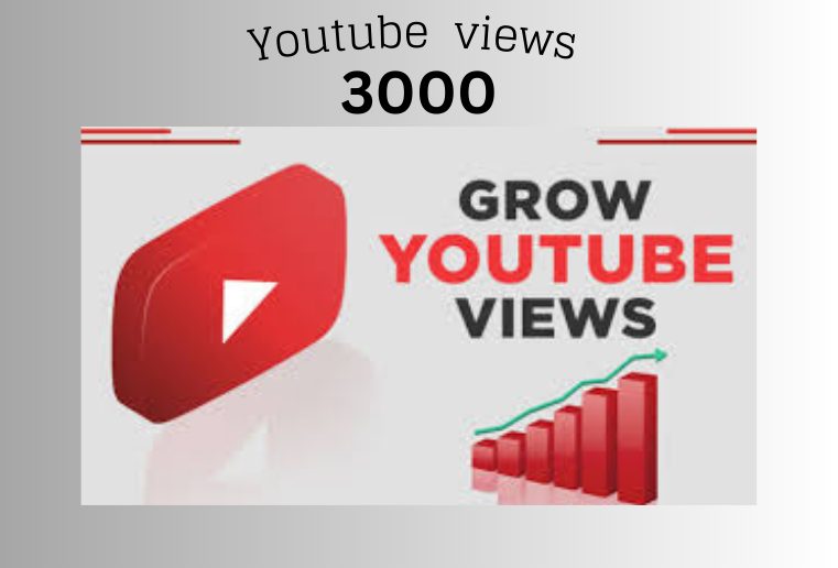 I will add 3000 REAL AND Non-Drop YouTube video views