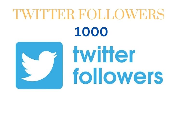 I will Give you 1,000 Twitter Followers