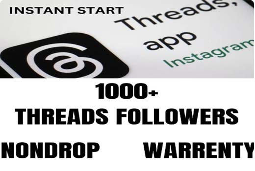 I will provide 1000+ Threads followers Real and non drop