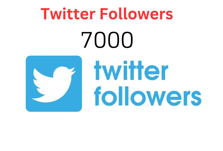I will add 700 Twitter Followers