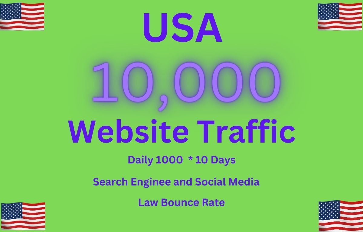 10,000 USA Website Traffic   1000 Daily traffic for 10 Days