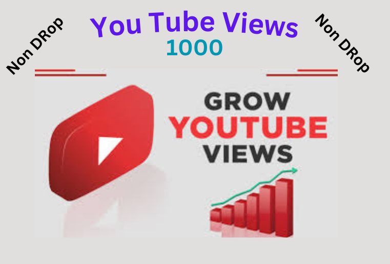 I Will Give your 1000 YouTube Video Views  Real Viewers, Lifetime Guaranteed