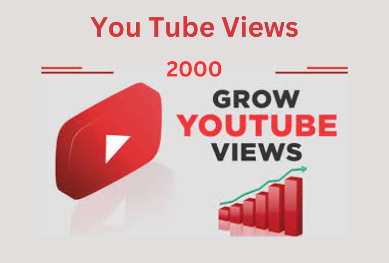 I will provide you 2000 YouTube Organic Views Non Drop Lifetime
