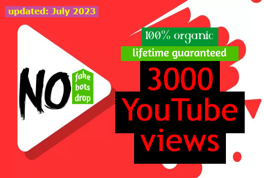 3000 YouTube organic views through ads