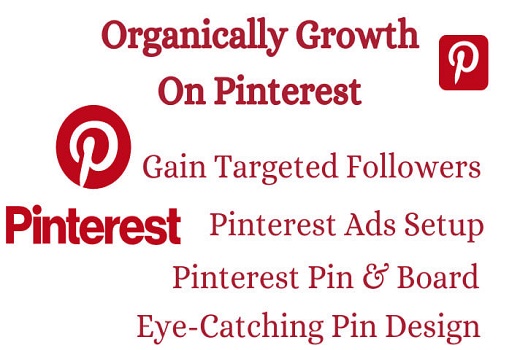 I will do pinterest promotion, pinterest marketing pin and boards to grow and boost your business organically, website traffic and sales, organic growth