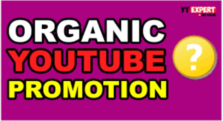 I will do organic promotion for YouTube monetization