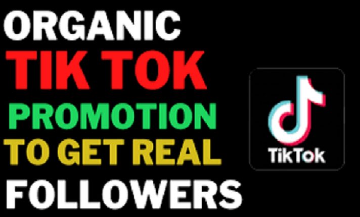 I will grow and promote your tiktok account organically and get you more viewers and likes to your tiktok account