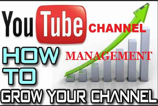 I will do youtube video and channel promotion, youtube promotion, channel monetization, video promotion