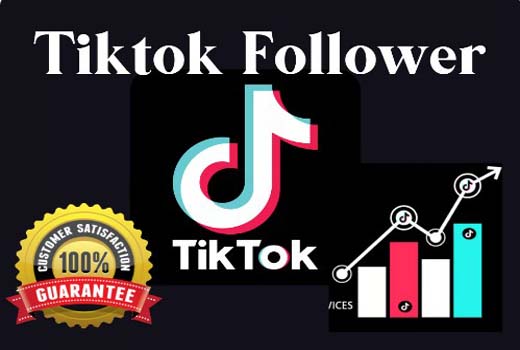 You will get 1000Tiktok Followers | Organic Tiktok Followers, Like, Views | TikTok Marketing