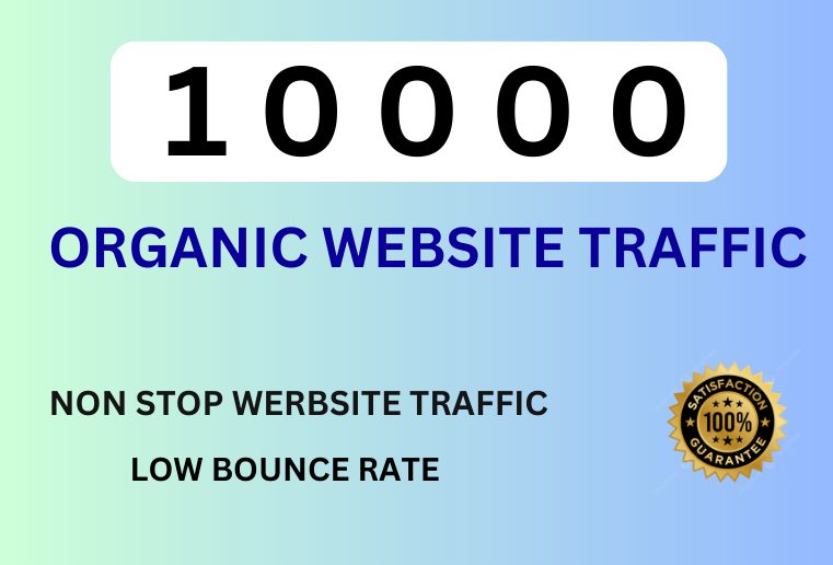 10000  Organic Website Traffic For Your Website or Blog .