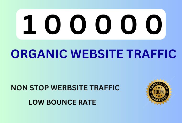 100000  Organic Website Traffic For Your Website or Blog .
