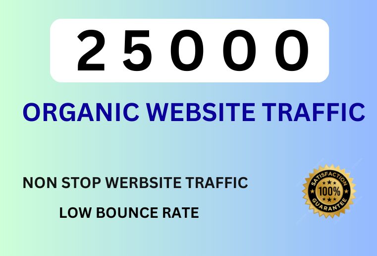 25000  Organic Website Traffic For Your Website or Blog .