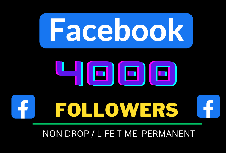 You will get 4000+ organic Facebook page Followers , Organic  and Permanent Life Time