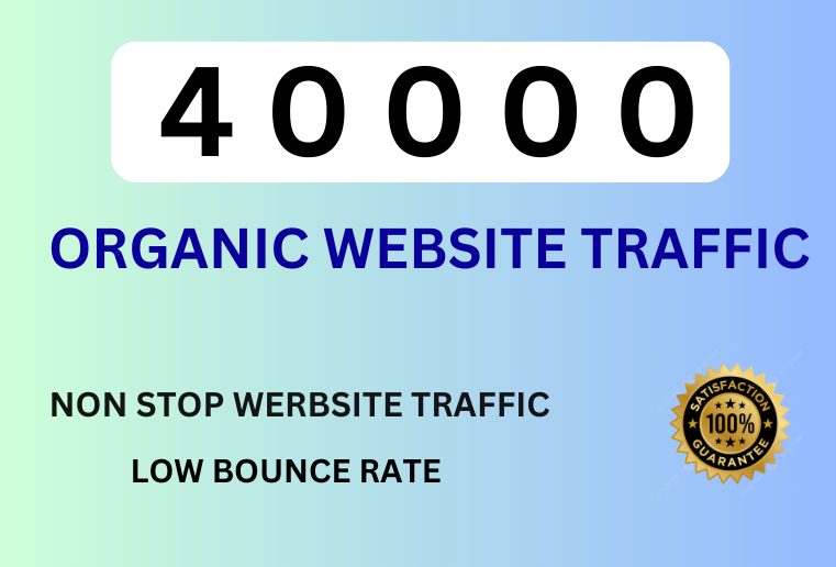 40000  Organic Website Traffic For Your Website or Blog .