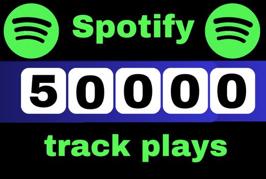 I will provide 50,000 Spotify premium Track Plays HQ royalties eligible lifetime guaranteed