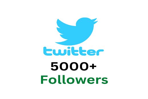 Get Real 5000+ Twitter Followers Life Time Guaranteed