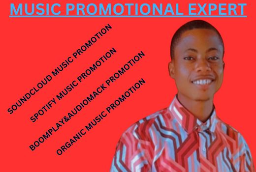 I Will Do Organic Soundcloud Music Promotion