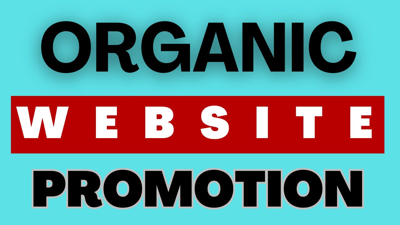 I will do organic Shopify Website Promotion to boost Real Traffic and Growth