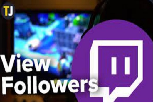 i will do organic twitch promotion,twitch marketing,twitch views and add followers to active members