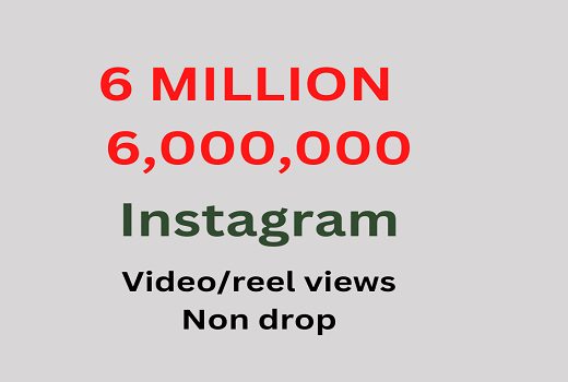 6 MILLION (6,000,000) Instagram views, real and non drop