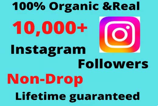 You will get Real And organic Non-Drop 10k instagram profile followers