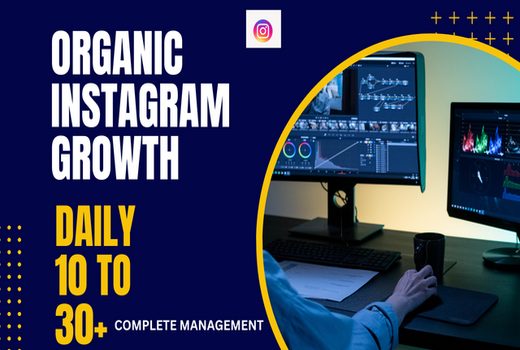 I will do professional Instagram marketing and promotion services.