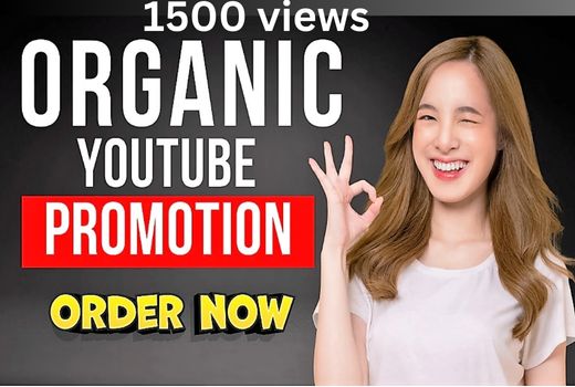 1500 organic youtube video views for channel growth