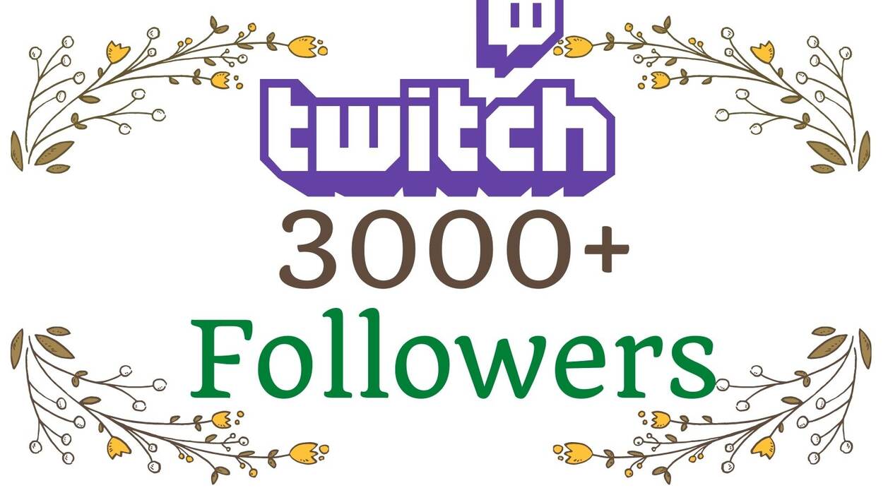 You will get 3000+ twitch Organic and real followers instant, Non-drop & lifetime guarantee